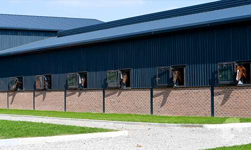 Yard & Stabling